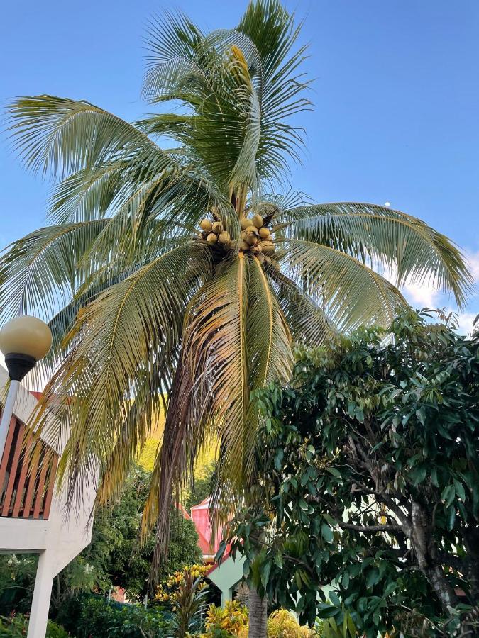 Residence Sucrerie Motel - Les Anses-D'Arlets - Martinique Bagian luar foto
