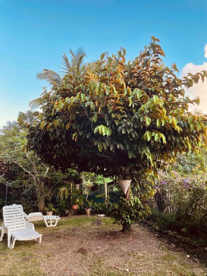 Residence Sucrerie Motel - Les Anses-D'Arlets - Martinique Bagian luar foto